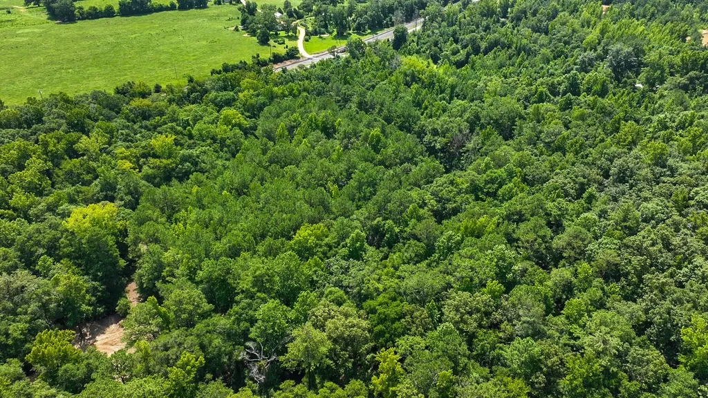 1025 Co Road 83 Burnsville AL 36703