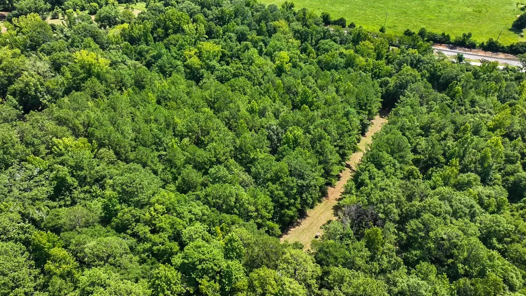 1025 Co Road 83 Burnsville AL 36703