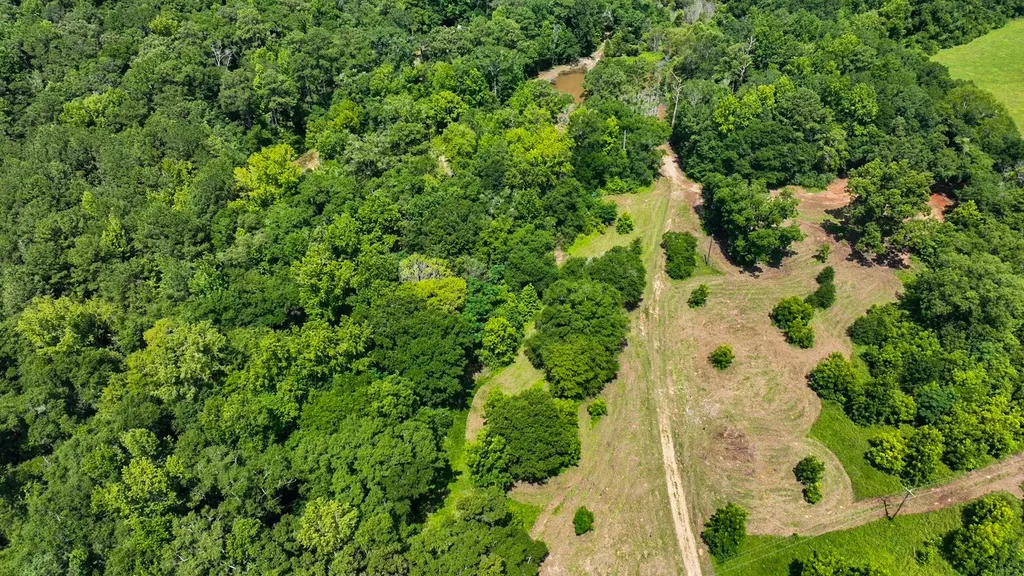 1025 Co Road 83 Burnsville AL 36703