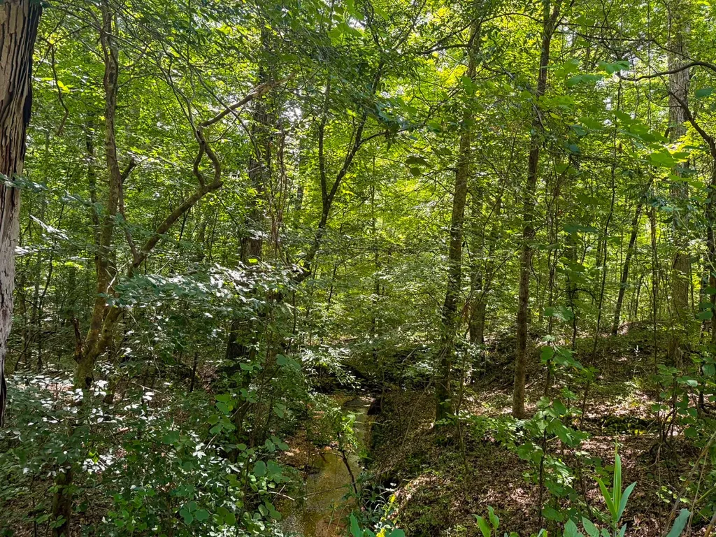 1025 Co Road 83 Burnsville AL 36703