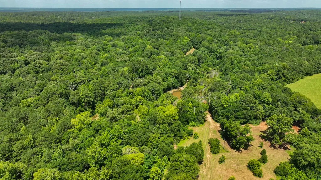 1025 Co Road 83 Burnsville AL 36703