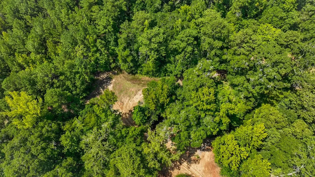 1025 Co Road 83 Burnsville AL 36703