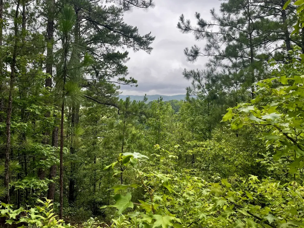 0001 Highway 145 Columbiana AL 35051