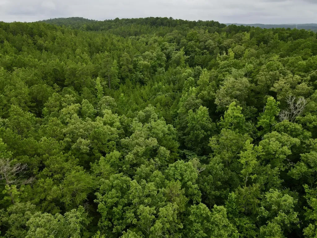 0001 Highway 145 Columbiana AL 35051