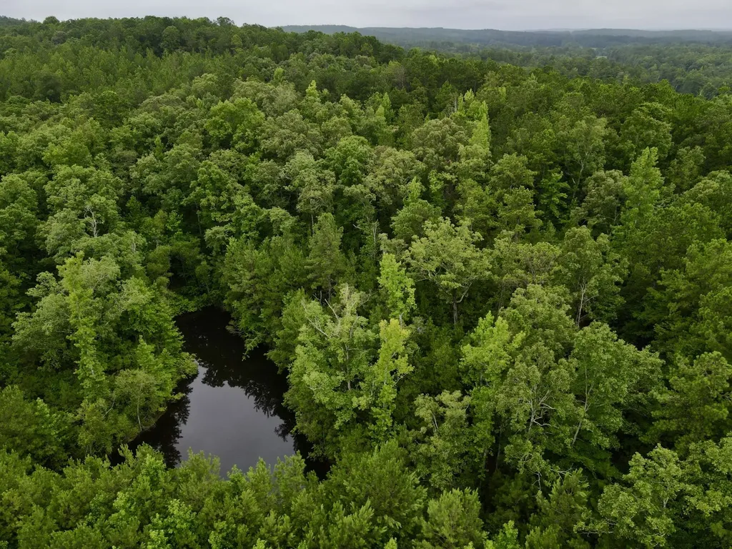 0001 Highway 145 Columbiana AL 35051