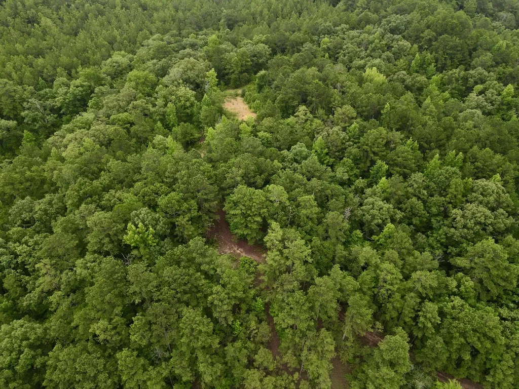 0001 Highway 145 Columbiana AL 35051