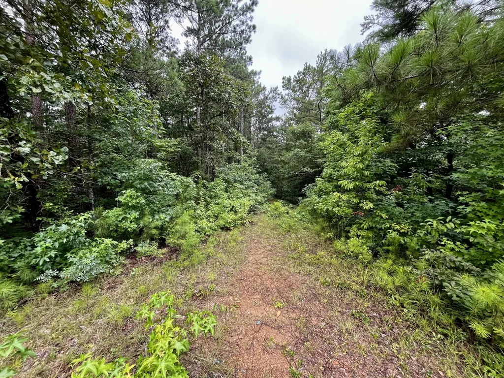 0001 Highway 145 Columbiana AL 35051