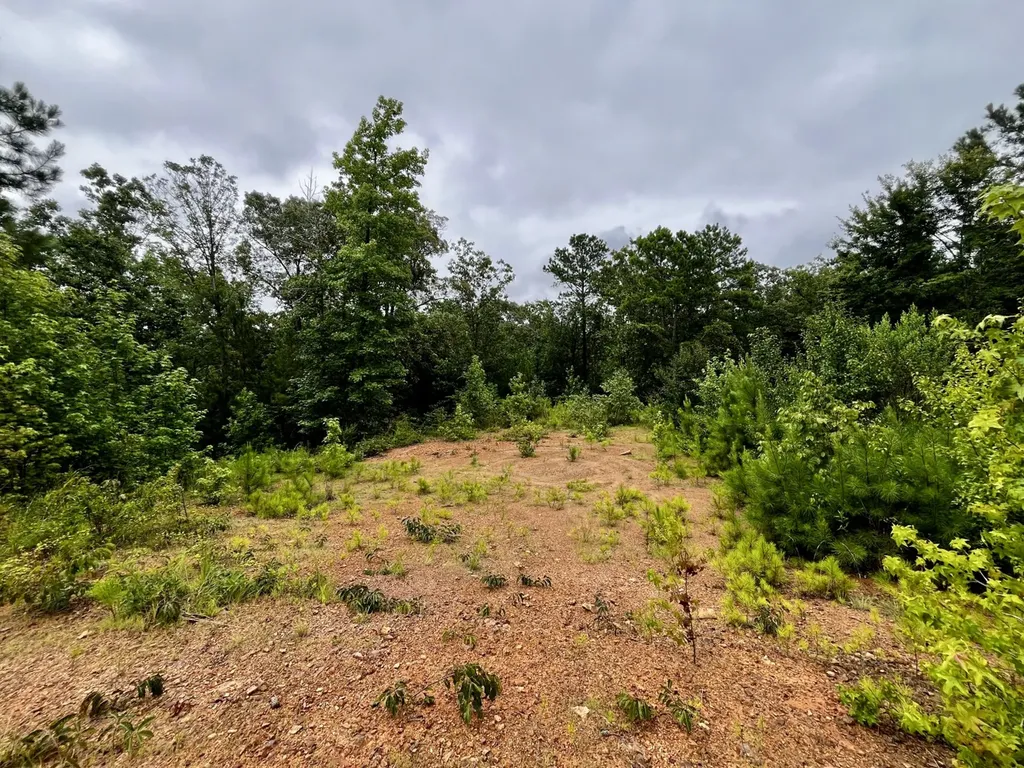 0001 Highway 145 Columbiana AL 35051