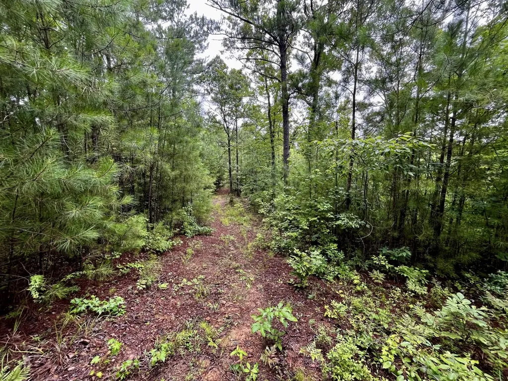 0001 Highway 145 Columbiana AL 35051