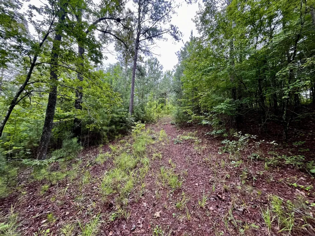 0001 Highway 145 Columbiana AL 35051