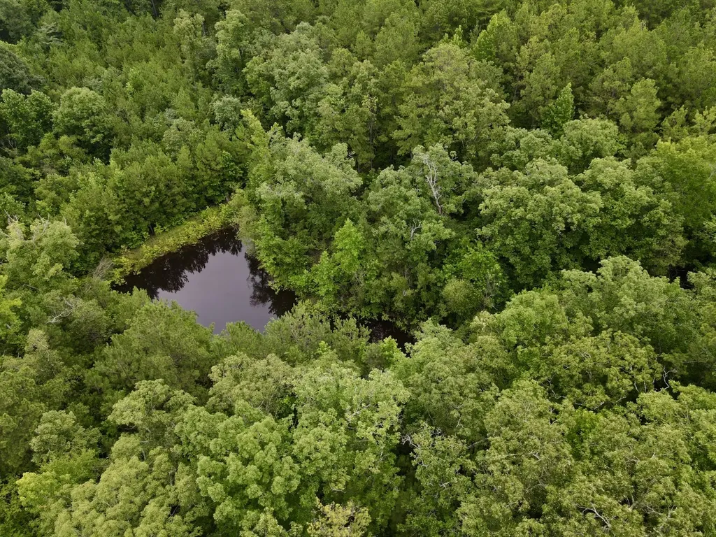 0001 Highway 145 Columbiana AL 35051