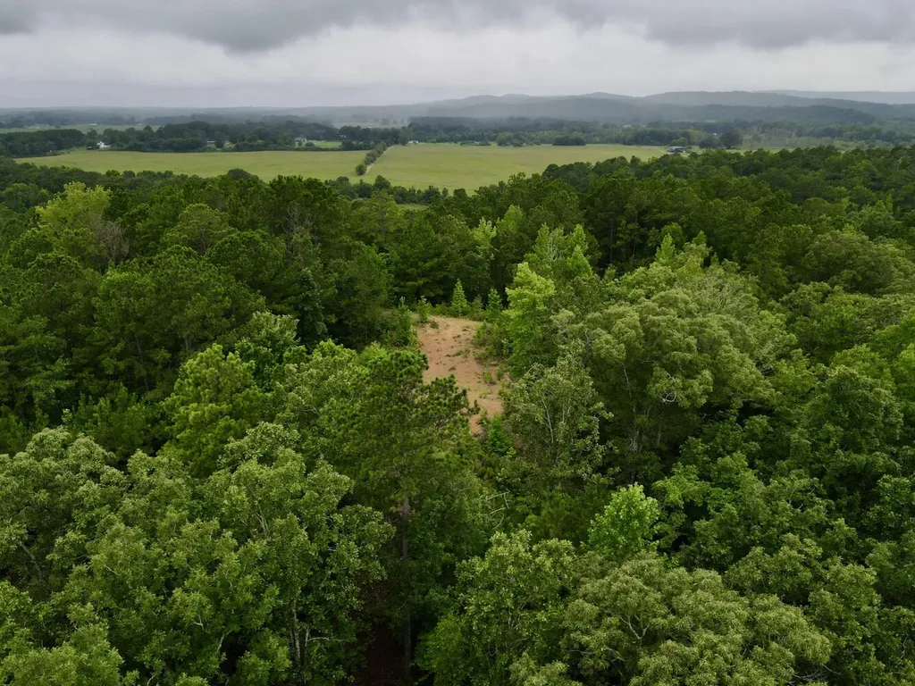 0001 Highway 145 Columbiana AL 35051