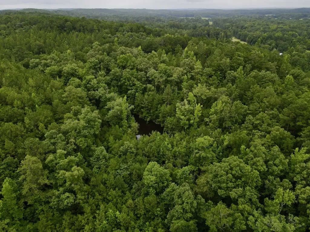 0001 Highway 145 Columbiana AL 35051