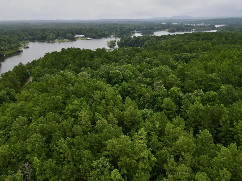 0001 Highway 145 Columbiana AL 35051
