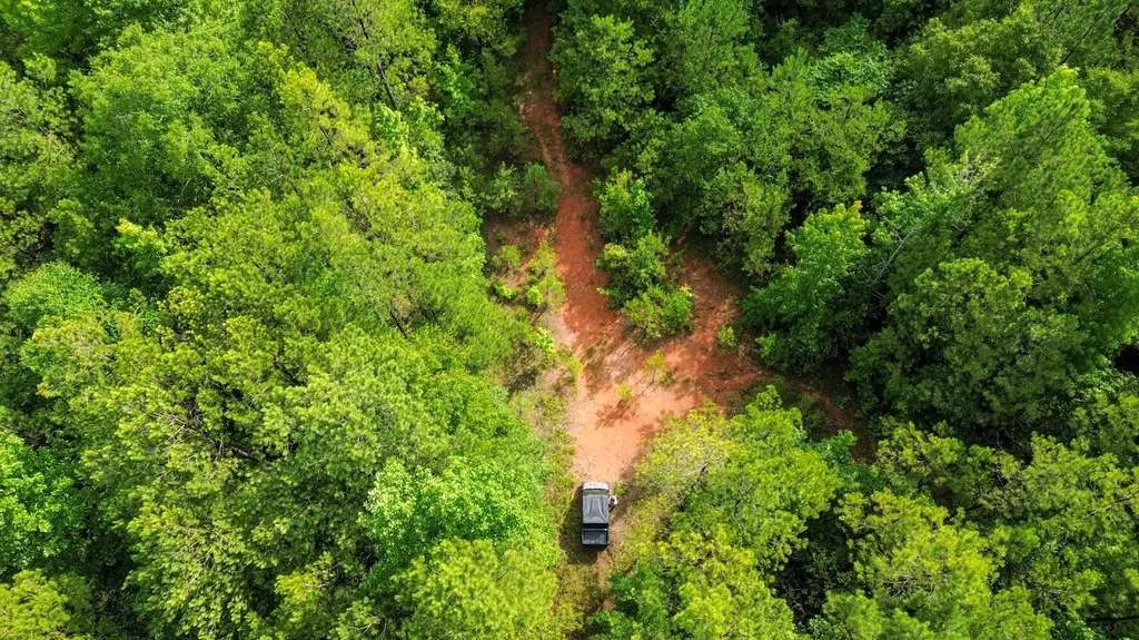 0 Highway 50 Dadeville AL 36853