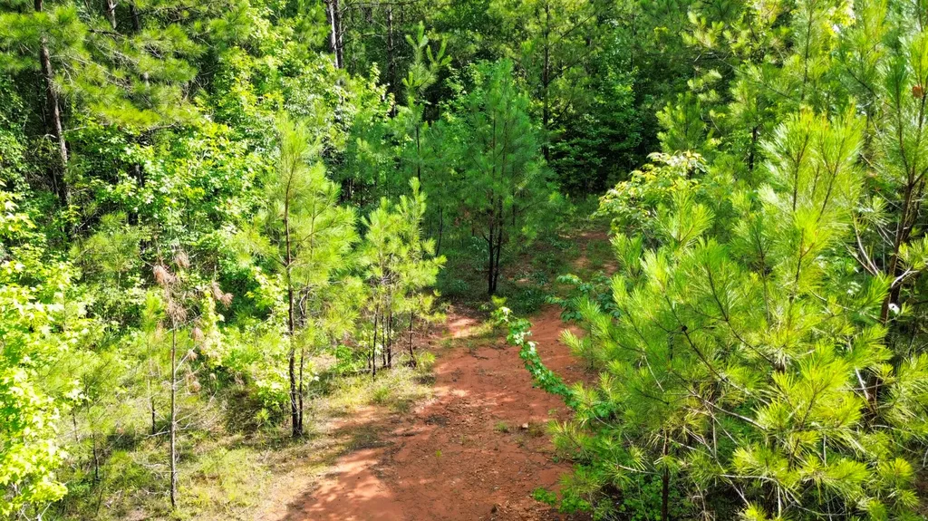 0 Highway 50 Dadeville AL 36853