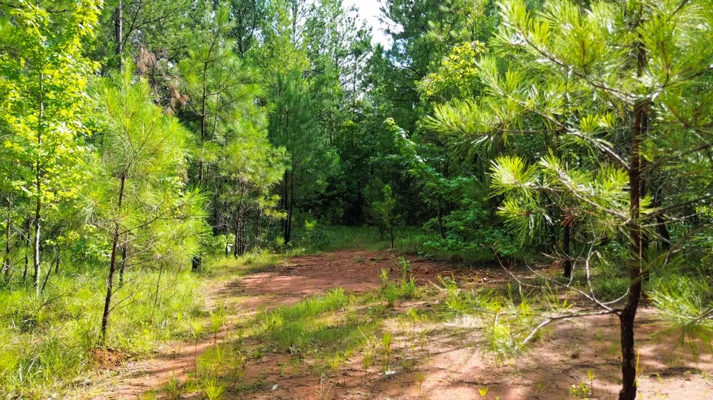 0 Highway 50 Dadeville AL 36853