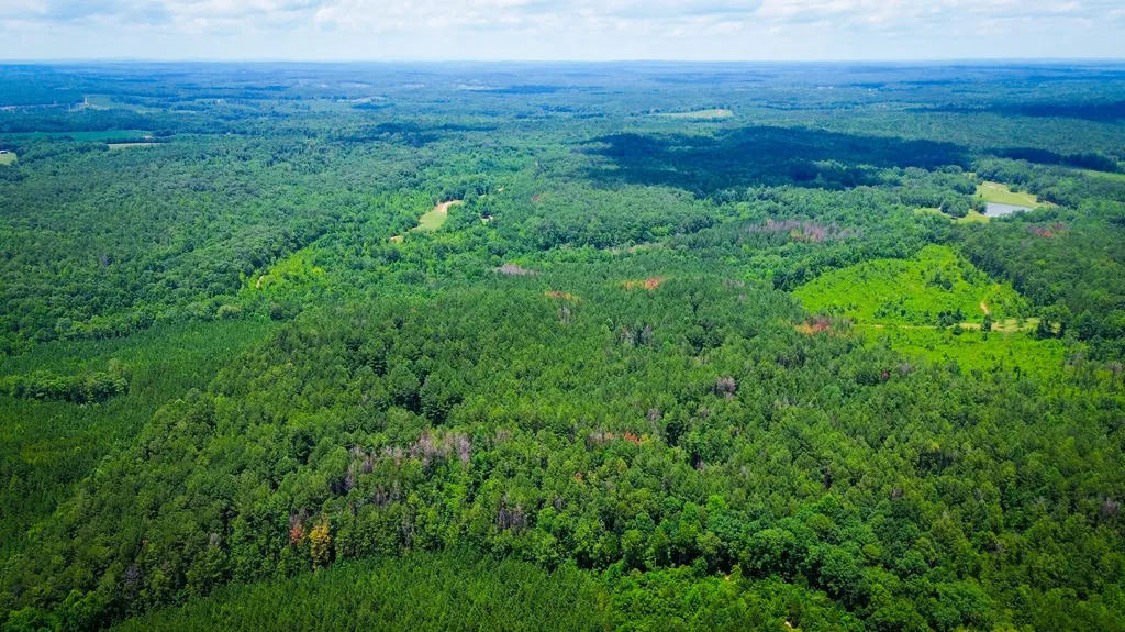 0 Sweet Water Road Daviston AL 36256