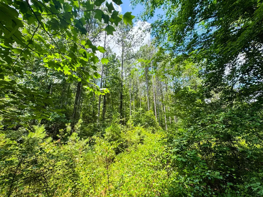0 Sweet Water Road Daviston AL 36256