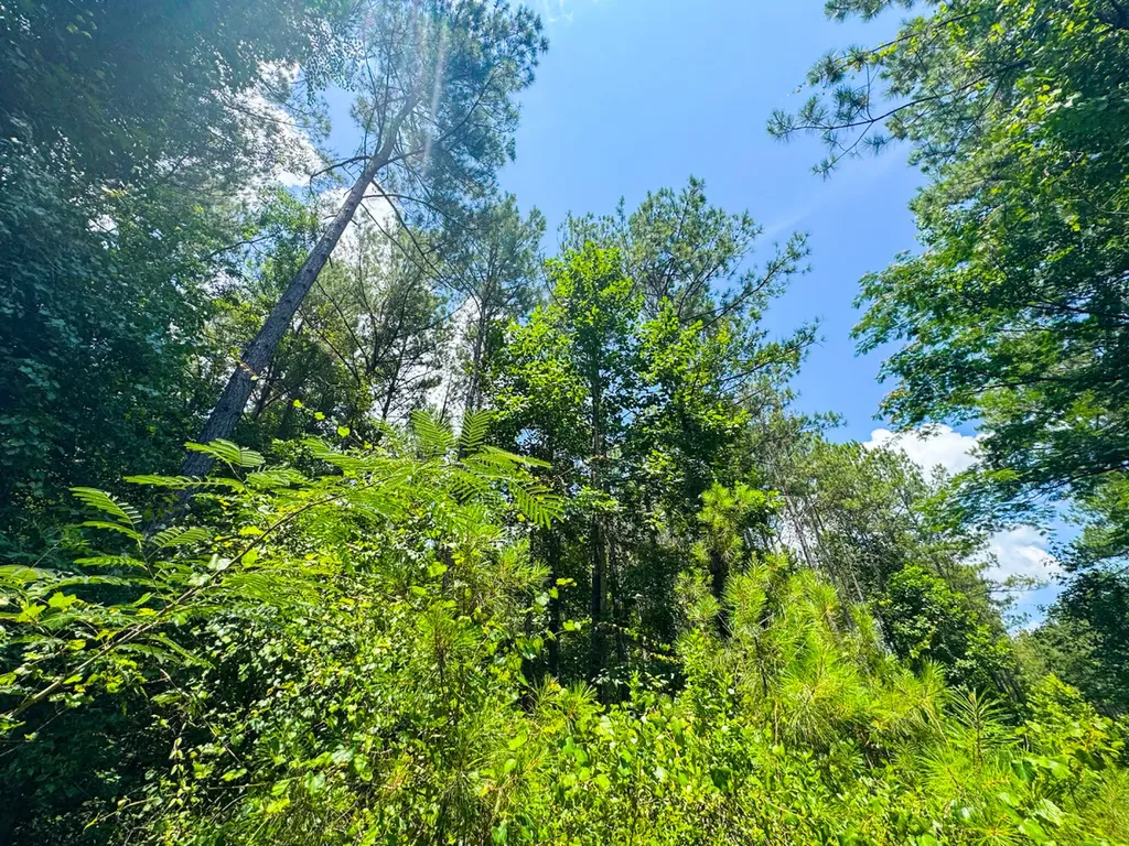 0 Sweet Water Road Daviston AL 36256