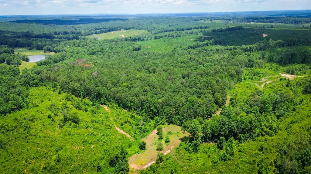 0 Sweet Water Road Daviston AL 36256