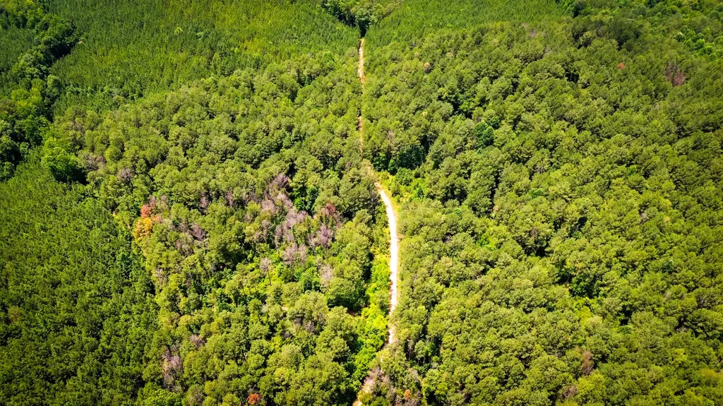 0 Sweet Water Road Daviston AL 36256