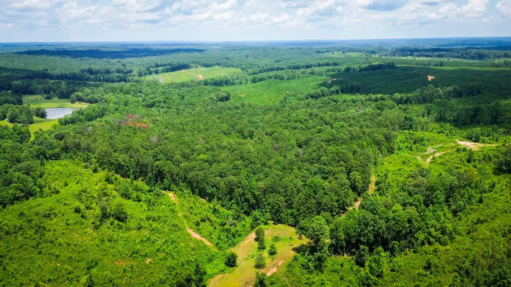 0 Sweet Water Road Daviston AL 36256