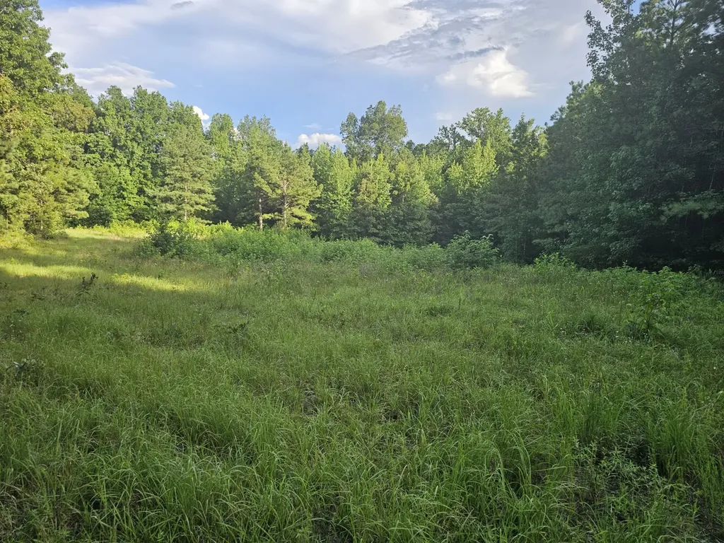 000Z Huckaba Road Russellville AL 35653