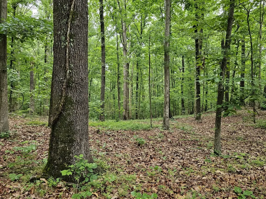 000Z Huckaba Road Russellville AL 35653