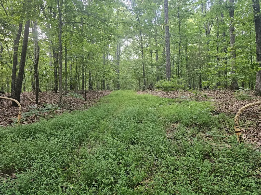 000Z Huckaba Road Russellville AL 35653