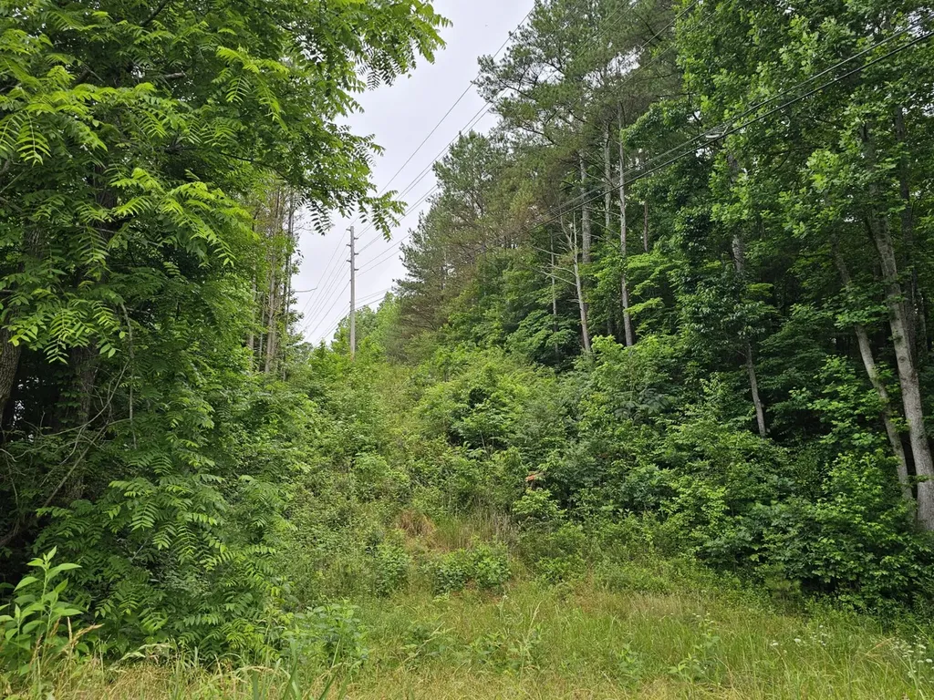 000Z Huckaba Road Russellville AL 35653