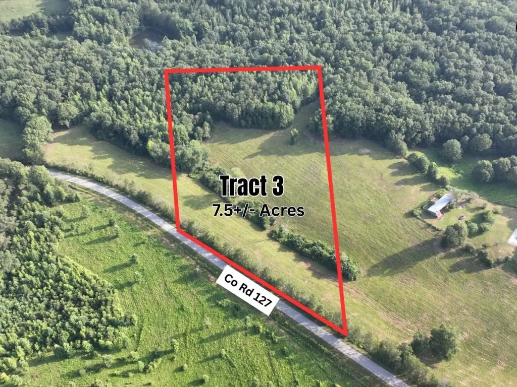 7.5+/- Acres County Road 127 Roanoke AL 36274