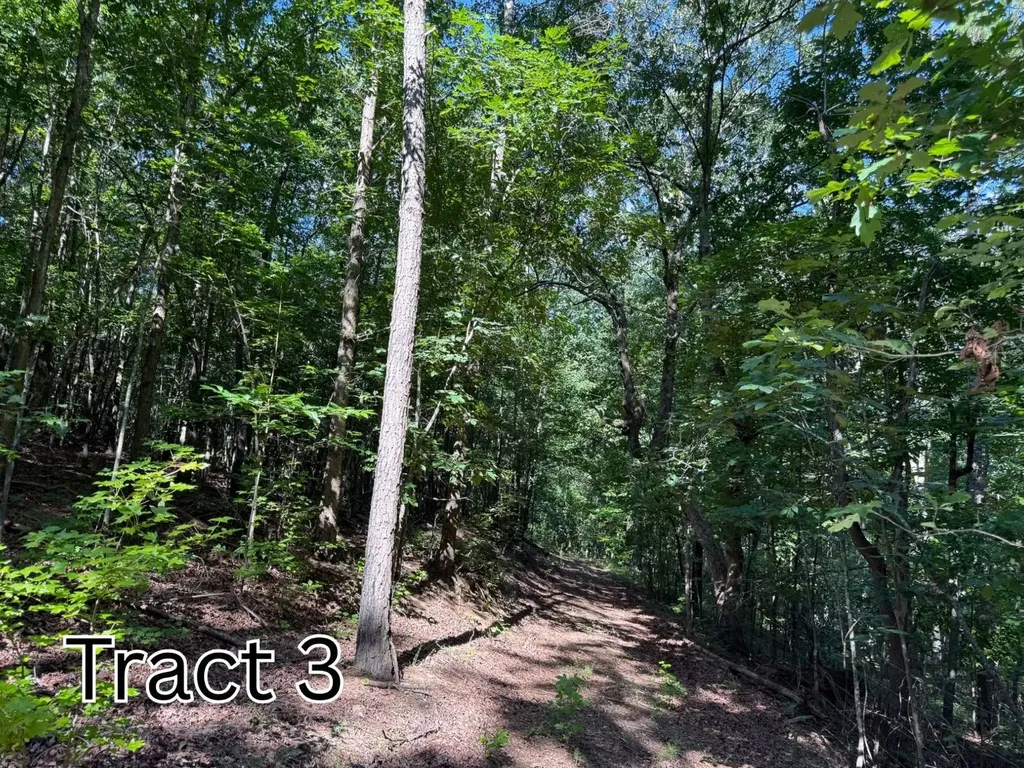 Tract 3 County Road 127 Roanoke AL 36274