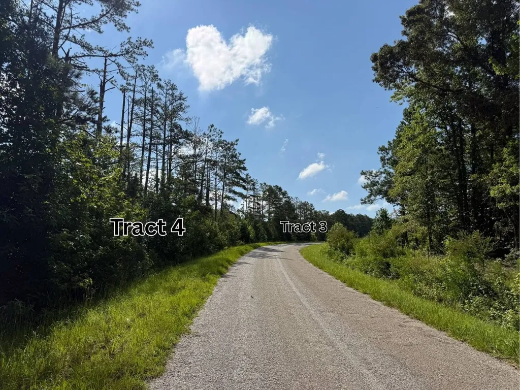 7.5+/- Acres County Road 127 Roanoke AL 36274