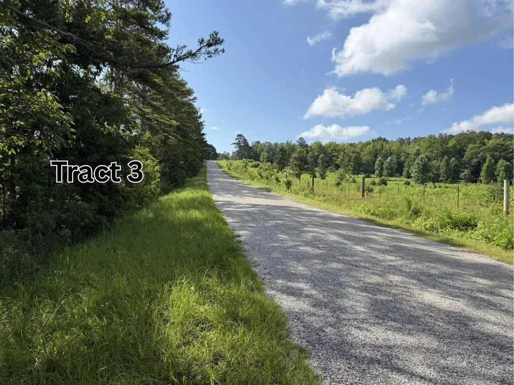 7.5+/- Acres County Road 127 Roanoke AL 36274