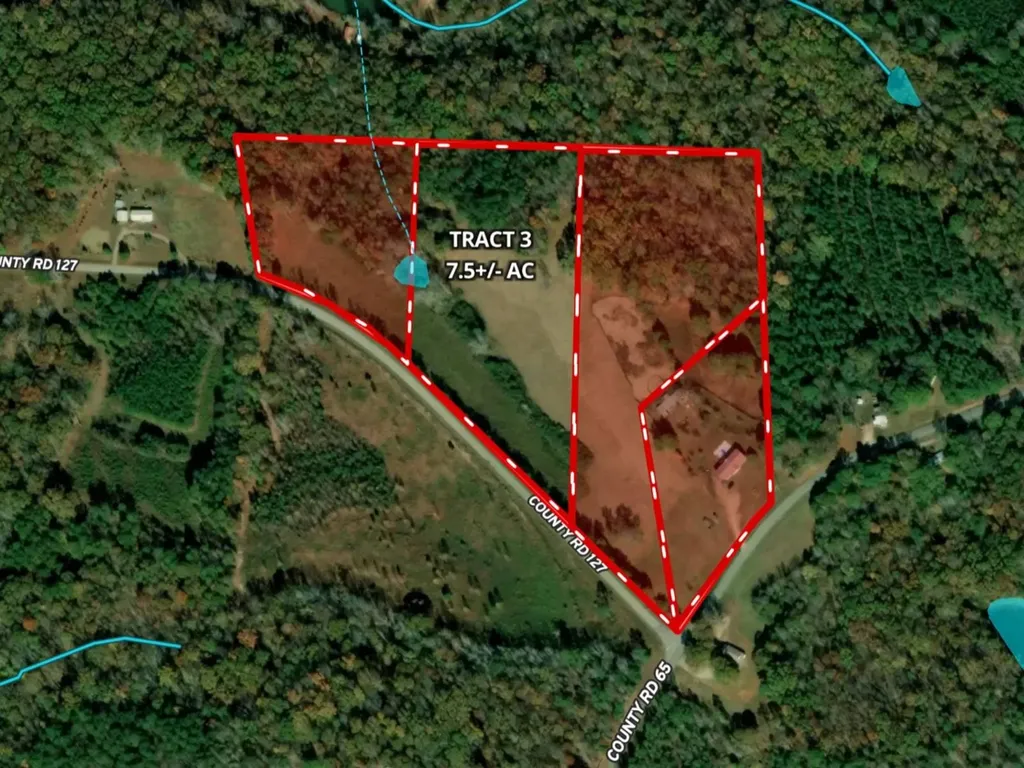 7.5+/- Acres County Road 127 Roanoke AL 36274