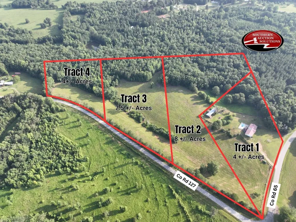 Tract 3 County Road 127 Roanoke AL 36274