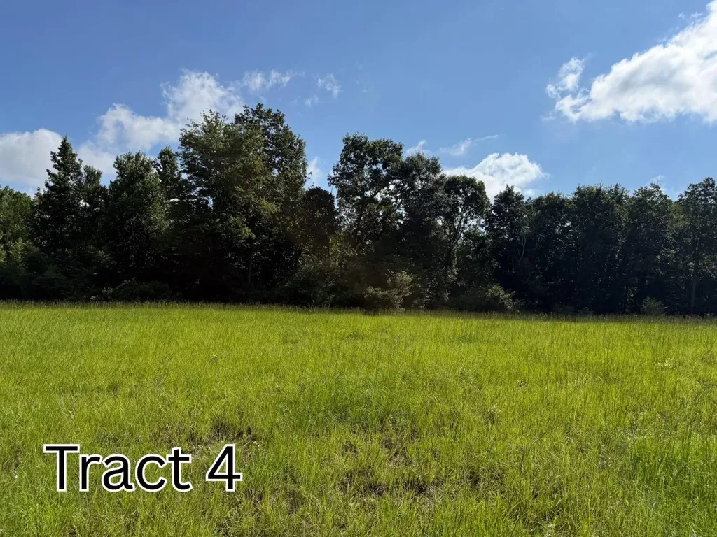 Tract 4 County Road 127 Roanoke AL 36274