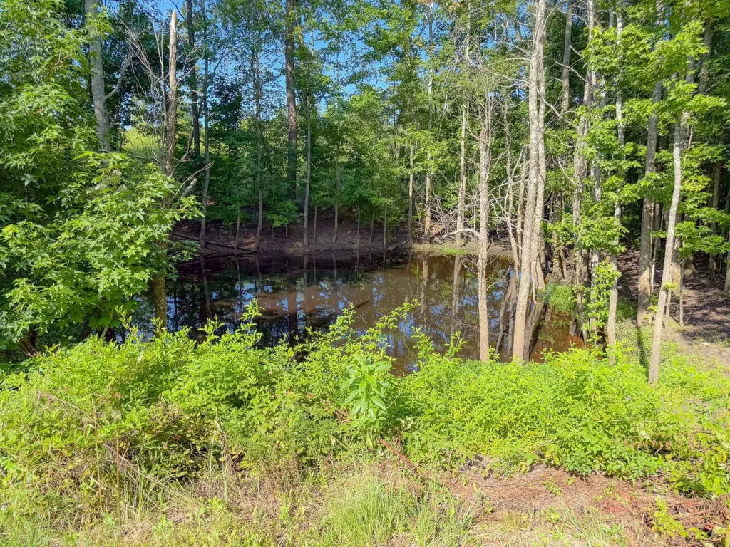 Tract 4 County Road 127 Roanoke AL 36274