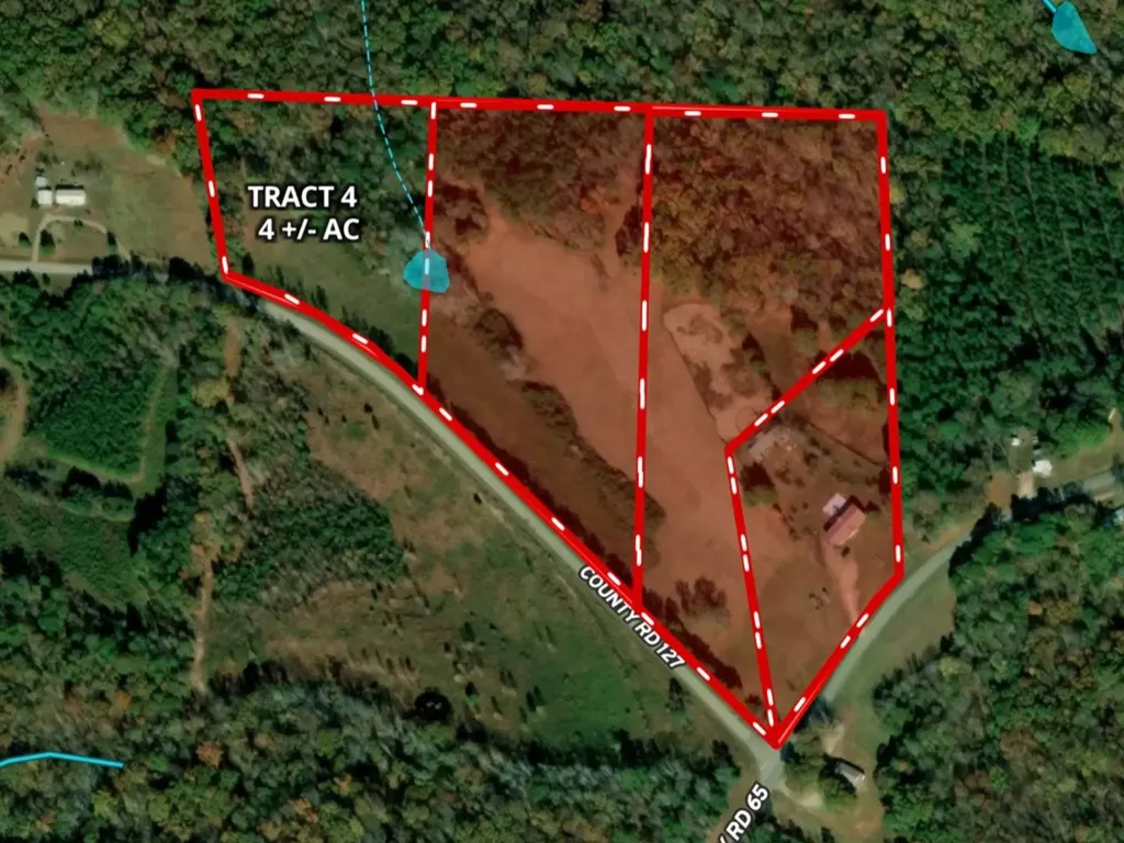 Tract 4 County Road 127 Roanoke AL 36274