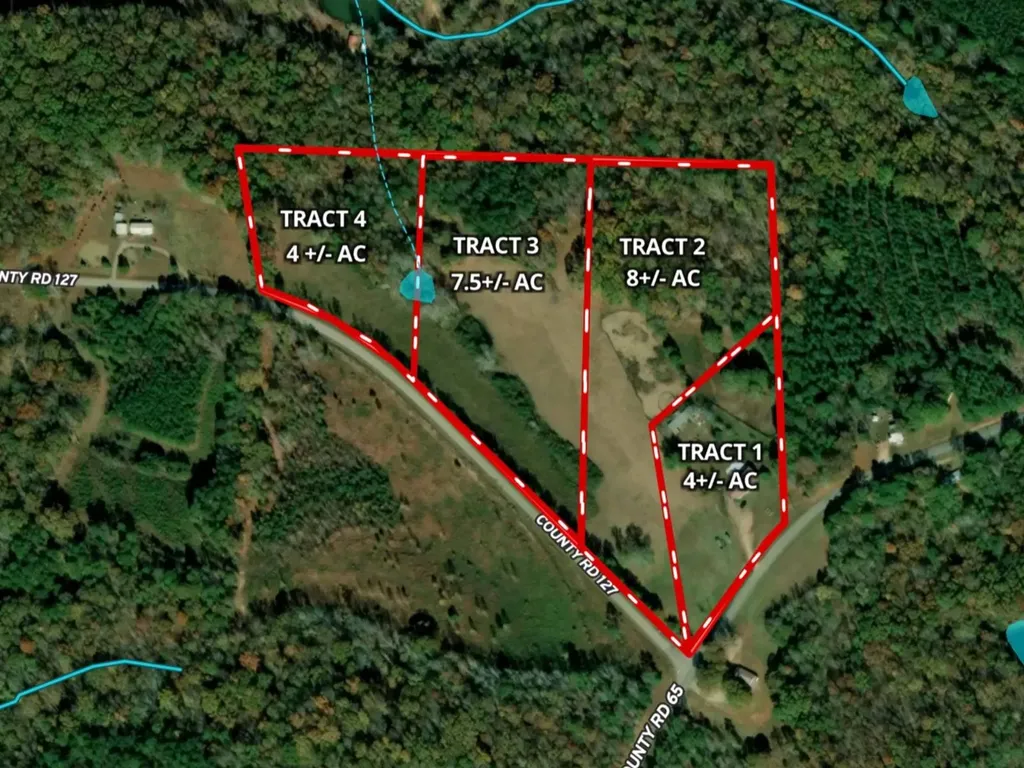 25+/- Acres County Road 65 36274 AL 36274