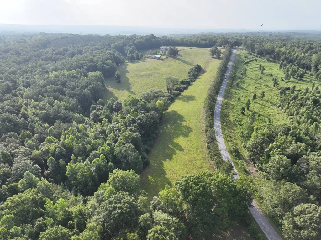 25+/- Acres County Road 65 36274 AL 36274