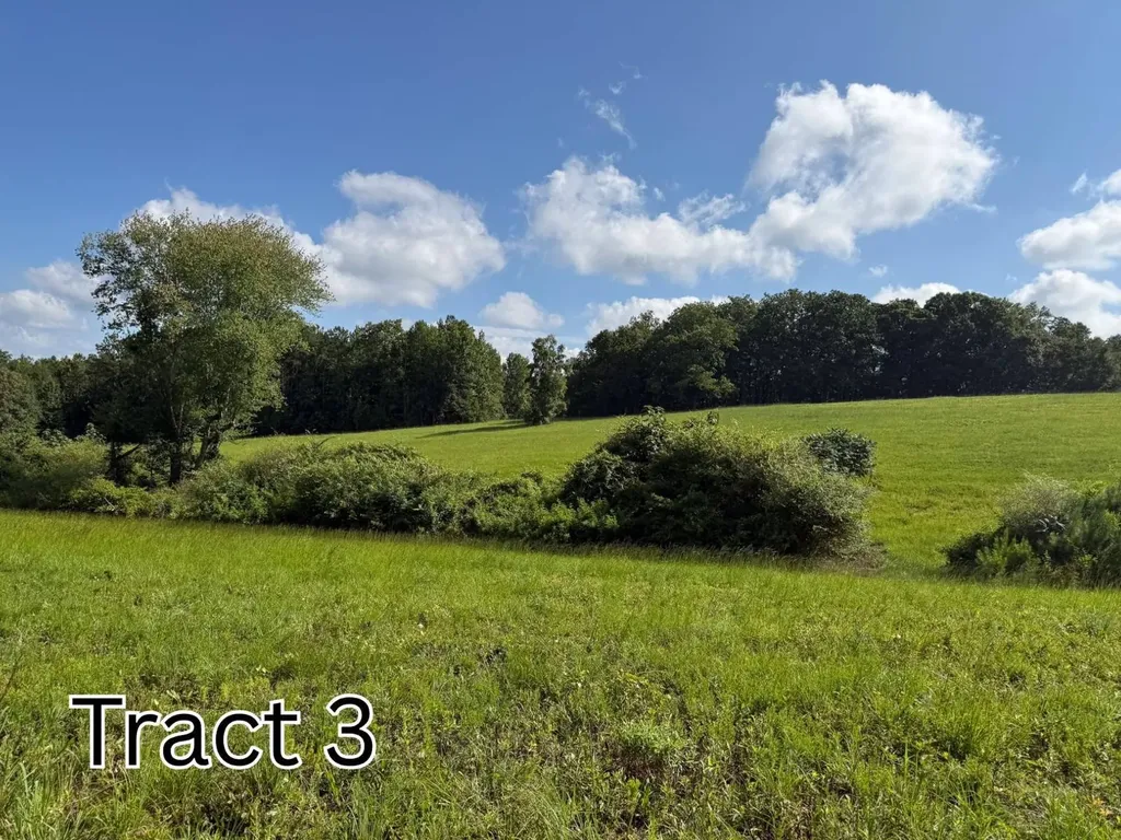25+/- Acres County Road 65 36274 AL 36274