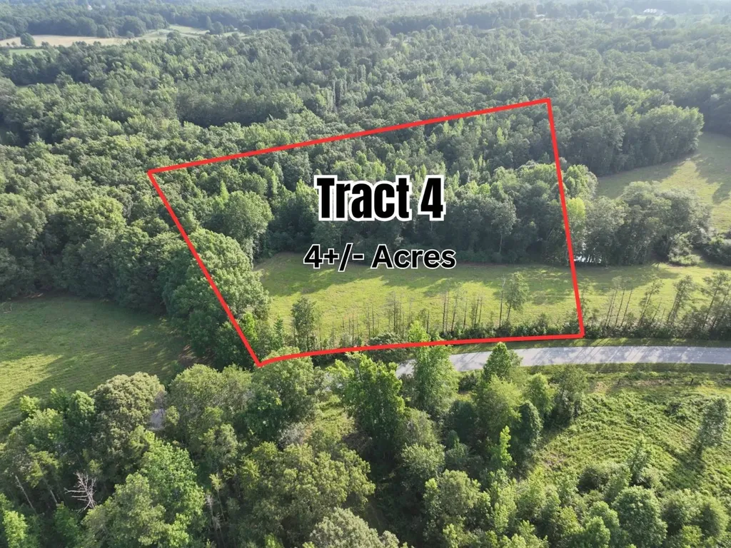 25+/- Acres County Road 65 36274 AL 36274