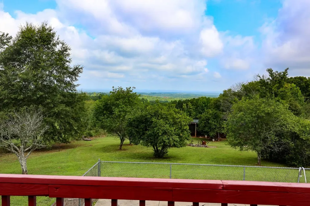 10359 County Road 65 Roanoke AL 36274