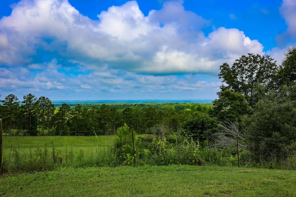 10359 County Road 65 Roanoke AL 36274