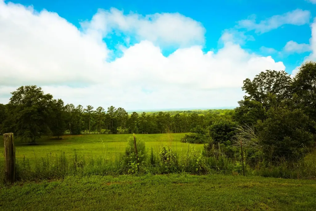 10359 County Road 65 Roanoke AL 36274