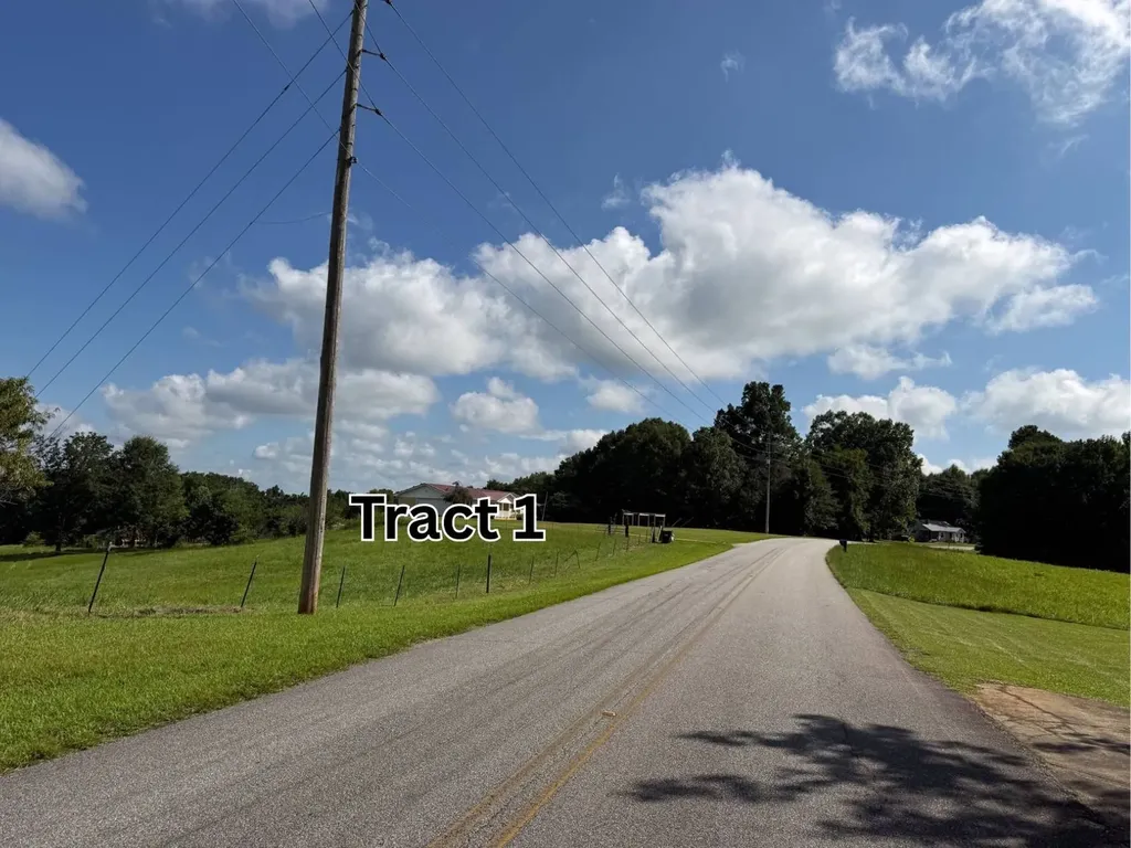 10359 County Road 65 Roanoke AL 36274