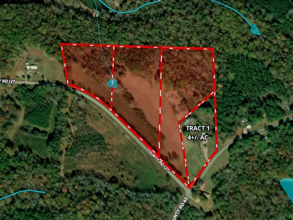 10359 County Road 65 Roanoke AL 36274