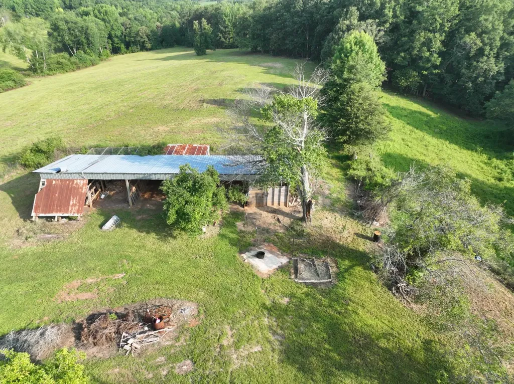 10359 County Road 65 Roanoke AL 36274